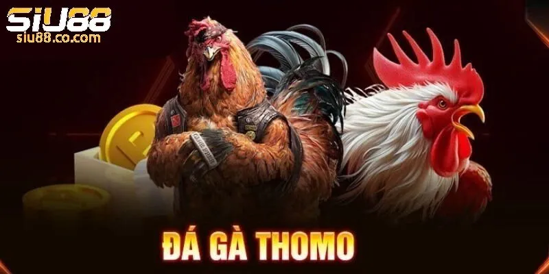 Đá Gà Thomo