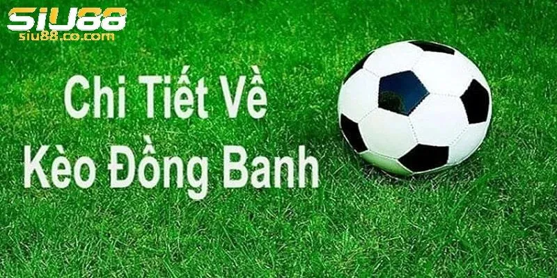 Tóm tắt qua về thể loại kèo đồng banh
